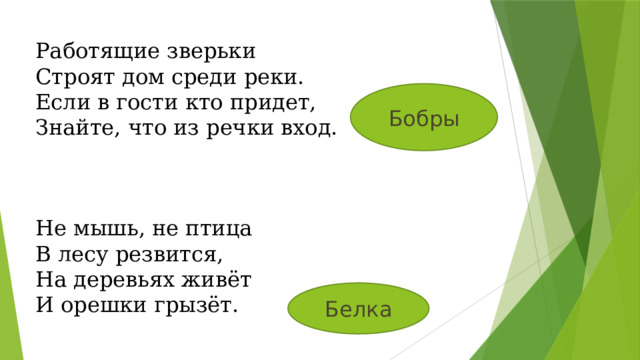 Работящие зверьки Строят дом среди реки. Если в гости кто придет, Знайте, что из речки вход. Бобры Не мышь, не птица В лесу резвится, На деревьях живёт И орешки грызёт. Белка 
