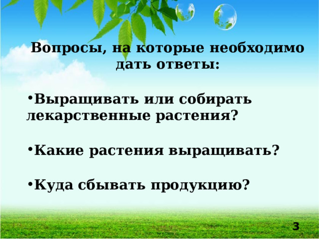 Вопросы, на которые необходимо дать ответы:  Выращивать или собирать лекарственные растения?   Какие растения выращивать?   Куда сбывать продукцию?    