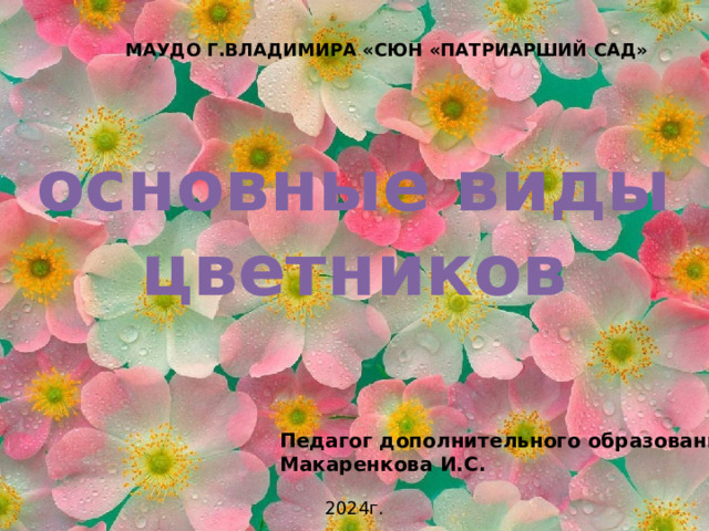 МАУДО Г.ВЛАДИМИРА «СЮН «ПАТРИАРШИЙ САД» основные виды цветников Педагог дополнительного образования: Макаренкова И.С. 2024г. 