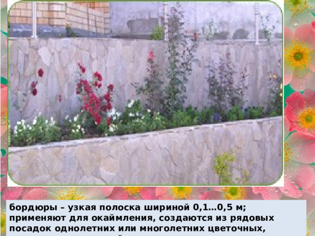 бордюры – узкая полоска шириной 0,1…0,5 м; применяют для окаймления, создаются из рядовых посадок однолетних или многолетних цветочных, травянистых растений. 