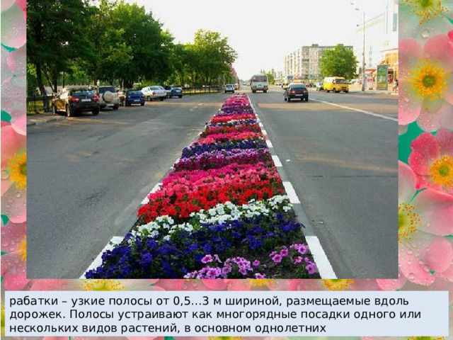 рабатки – узкие полосы от 0,5…3 м шириной, размещаемые вдоль дорожек. Полосы устраивают как многорядные посадки одного или нескольких видов растений, в основном однолетних 