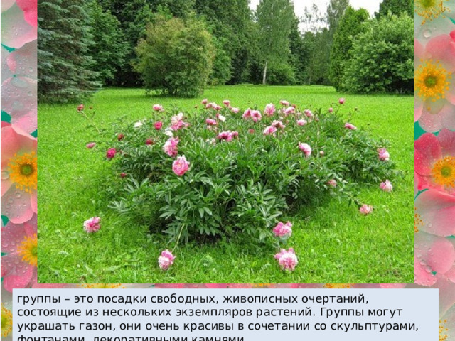 группы – это посадки свободных, живописных очертаний, состоящие из нескольких экземпляров растений. Группы могут украшать газон, они очень красивы в сочетании со скульптурами, фонтанами, декоративными камнями. 