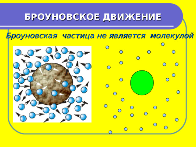БРОУНОВСКОЕ ДВИЖЕНИЕ Броуновская частица не является молекулой 