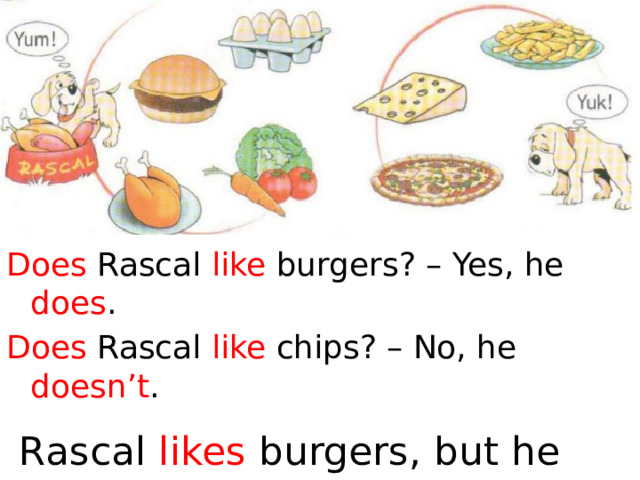 Does Rascal like burgers? – Yes, he does . Does Rascal like chips? – No, he doesn’t .  Rascal likes burgers, but he  doesn’t like chips . 