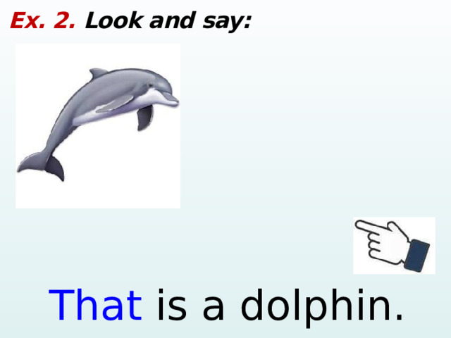 Ex. 2. Look and say: That is a dolphin.  