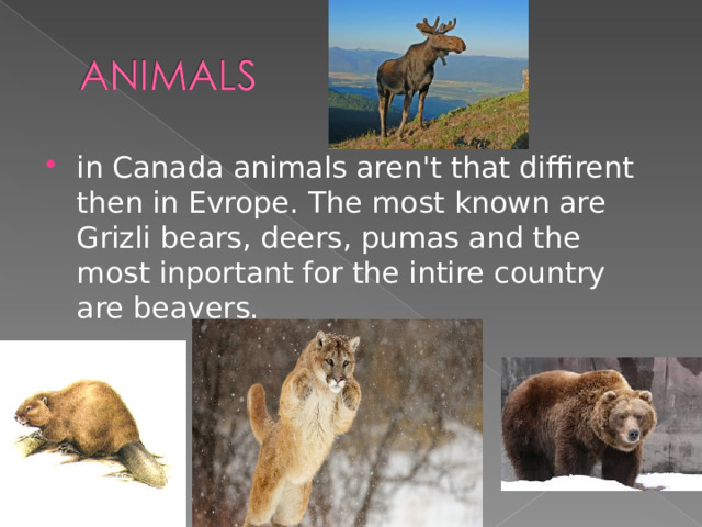 in Canada animals aren't that diffirent then in Evrope. The most known are Grizli bears, deers, pumas and the most inportant for the intire country are beavers.  