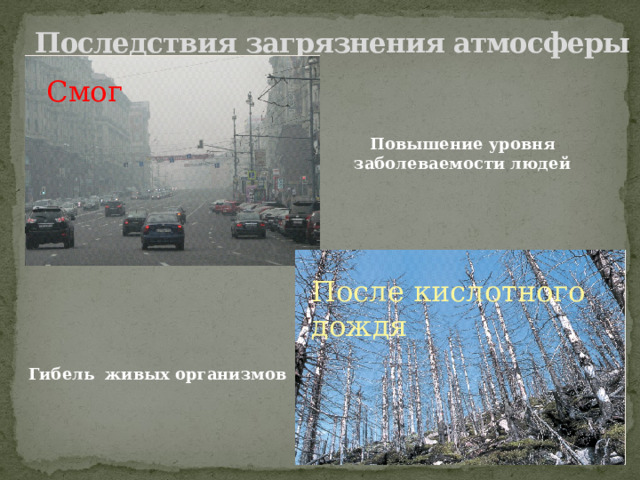 Последствия загрязнения атмосферы Смог Повышение уровня заболеваемости людей После кислотного дождя Гибель живых организмов 