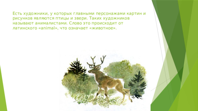 Есть художники, у которых главными персонажами картин и рисунков являются птицы и звери. Таких художников называют анималистами. Слово это происходит от латинского «animal», что означает «животное». 