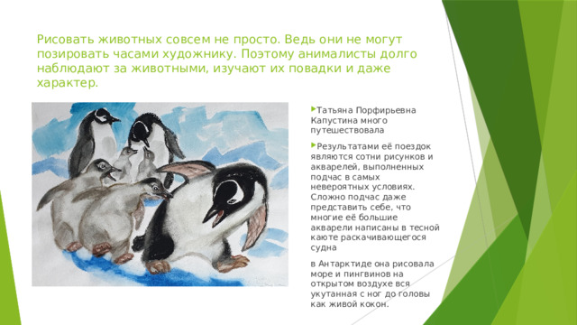 Рисовать животных совсем не просто. Ведь они не могут позировать часами художнику. Поэтому анималисты долго наблюдают за животными, изучают их повадки и даже характер. Татьяна Порфирьевна Капустина много путешествовала Результатами её поездок являются сотни рисунков и акварелей, выполненных подчас в самых невероятных условиях. Сложно подчас даже представить себе, что многие её большие акварели написаны в тесной каюте раскачивающегося судна в Антарктиде она рисовала море и пингвинов на открытом воздухе вся укутанная с ног до головы как живой кокон. 