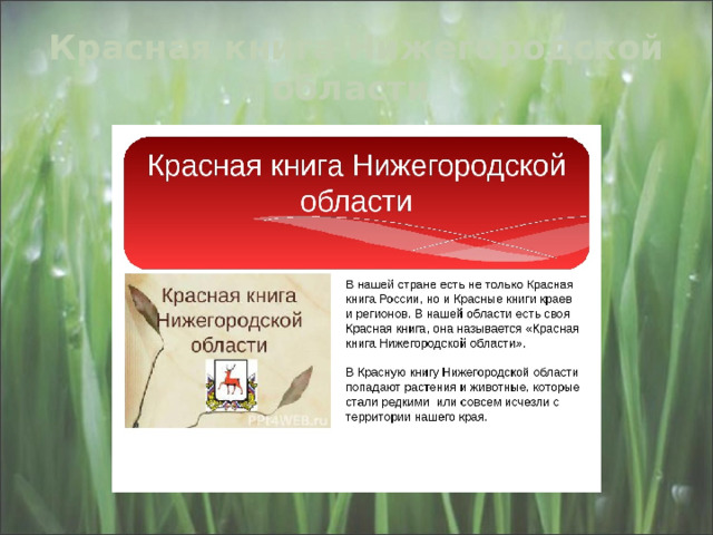 Красная книга Нижегородской области 