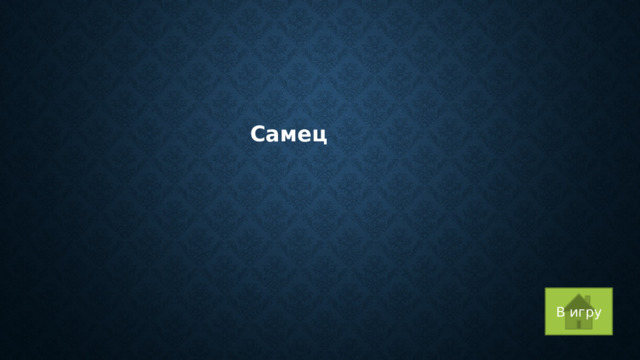 Самец В игру 