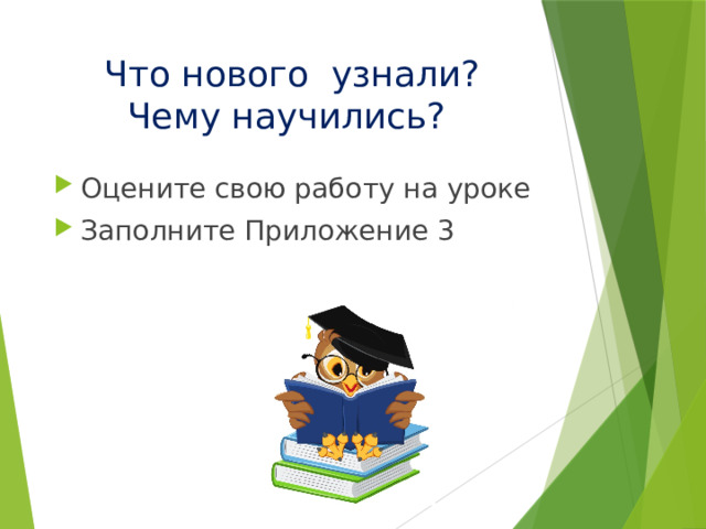 Что нового узнали?  Чему научились? Оцените свою работу на уроке Заполните Приложение 3 