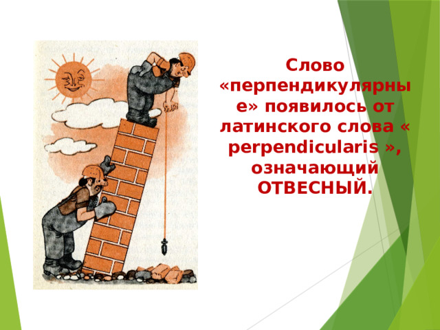 Слово «перпендикулярные» появилось от латинского слова « perpendicularis », означающий ОТВЕСНЫЙ. 