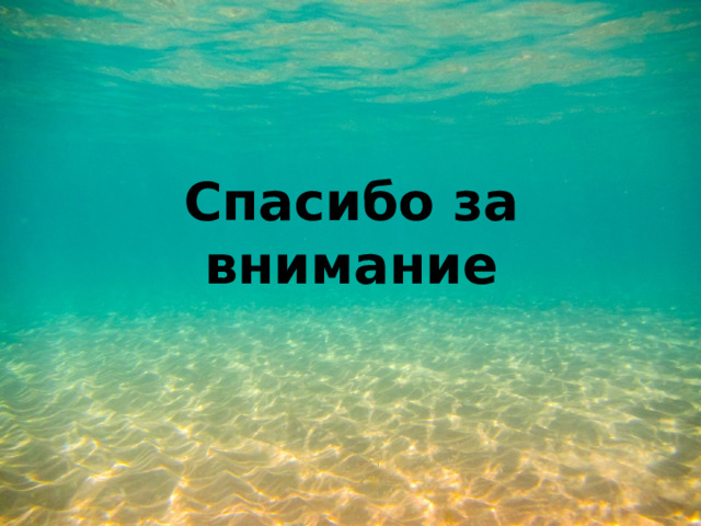 Спасибо за внимание 