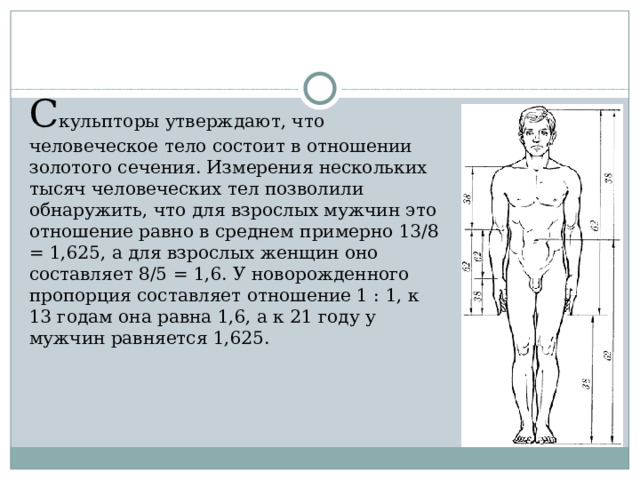 С кульпторы утверждают, что человеческое тело состоит в отношении золотого сечения. Измерения нескольких тысяч человеческих тел позволили обнаружить, что для взрослых мужчин это отношение равно в среднем примерно 13/8 = 1,625, а для взрослых женщин оно составляет 8/5 = 1,6. У новорожденного пропорция составляет отношение 1 : 1, к 13 годам она равна 1,6, а к 21 году у мужчин равняется 1,625. 
