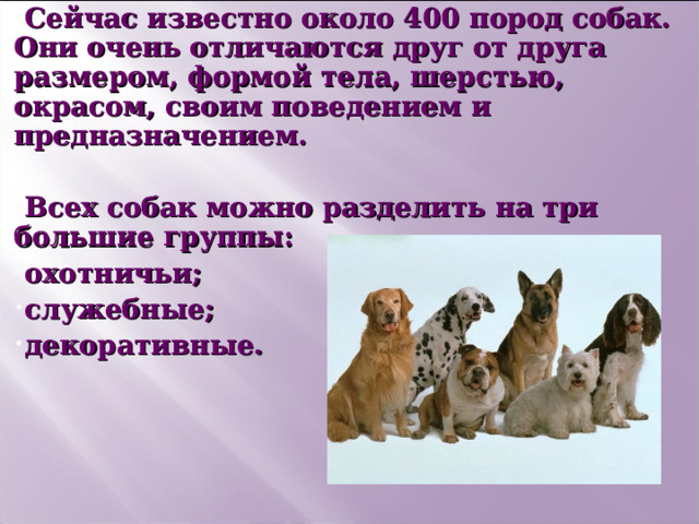 Сейчас известно около 400 пород собак. Они очень отличаются друг от друга размером, формой тела, шерстью, окрасом, своим поведением и предназначением.  Всех собак можно разделить на три большие группы: охотничьи; служебные; декоративные.  