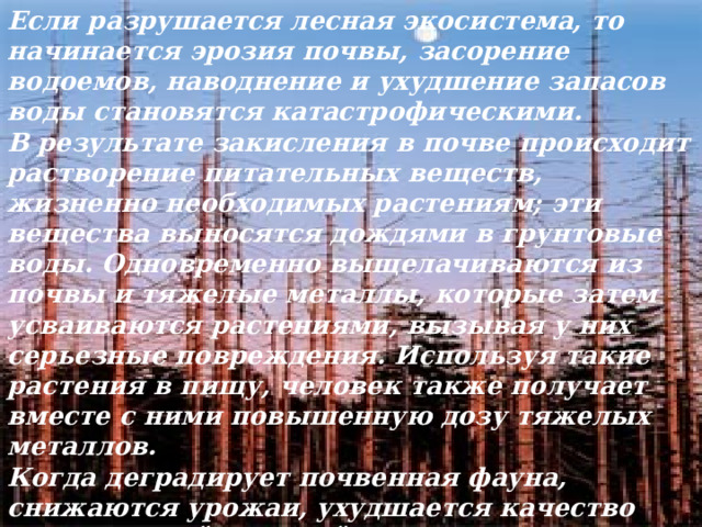 Если разрушается лесная экосистема, то начинается эрозия почвы, засорение водоемов, наводнение и ухудшение запасов воды становятся катастрофическими. В результате закисления в почве происходит растворение питательных веществ, жизненно необходимых растениям; эти вещества выносятся дождями в грунтовые воды. Одновременно выщелачиваются из почвы и тяжелые металлы, которые затем усваиваются растениями, вызывая у них серьезные повреждения. Используя такие растения в пищу, человек также получает вместе с ними повышенную дозу тяжелых металлов. Когда деградирует почвенная фауна, снижаются урожаи, ухудшается качество сельскохозяйственной продукции, а это, как мы знаем, влечет за собой ухудшение здоровья населения.  