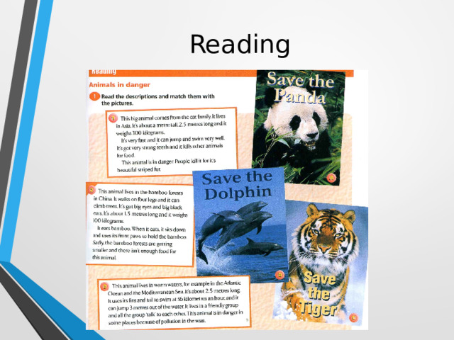 Reading 