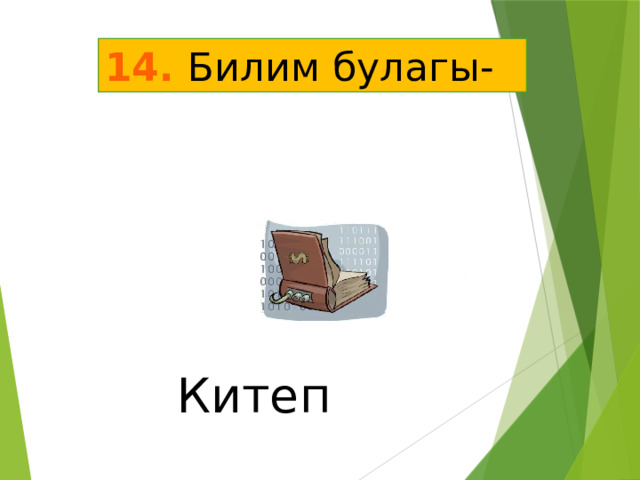 14. Билим булагы- Китеп 