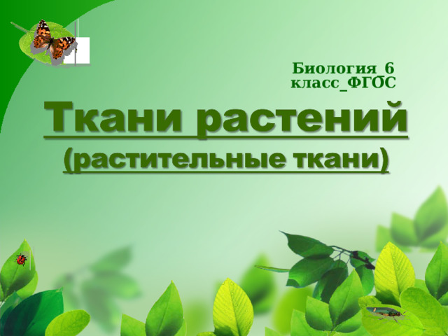 Биология_6 класс_ФГОС 