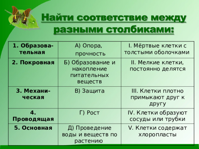 1. Образова-тельная А) Опора,  прочность 2. Покровная  I. Мёртвые клетки с толстыми оболочками Б) Образование и накопление питательных веществ 3. Механи-ческая В) Защита II. Мелкие клетки, постоянно делятся 4. Проводящая III. Клетки плотно примыкают друг к другу Г) Рост 5. Основная Д) Проведение воды и веществ по растению IV. Клетки образуют сосуды или трубки V. Клетки содержат хлоропласты 