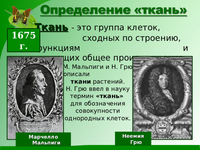Ткань  - это группа клеток, сходных по строению, функциям и имеющих общее происхождение. 1675 г. М. Мальпиги и Н. Грю описали ткани растений. Н. Грю ввел в науку термин «ткань» для обозначения совокупности однородных клеток. Неемия Грю Марчелло Мальпиги 
