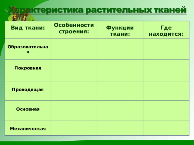  Вид ткани: Особенности строения:  Образовательная  Функции ткани:  Покровная  Где находится:  Проводящая  Основная  Механическая 