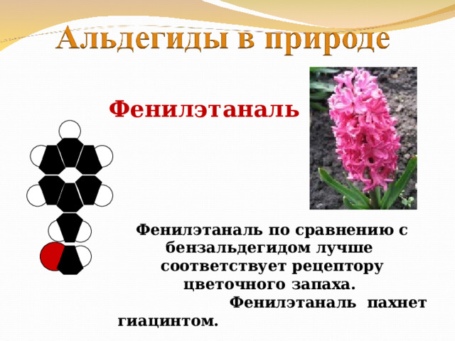 Фенилэтаналь Фенилэтаналь по сравнению с бензальдегидом лучше соответствует рецептору цветочного запаха.  Фенилэтаналь пахнет гиацинтом. 