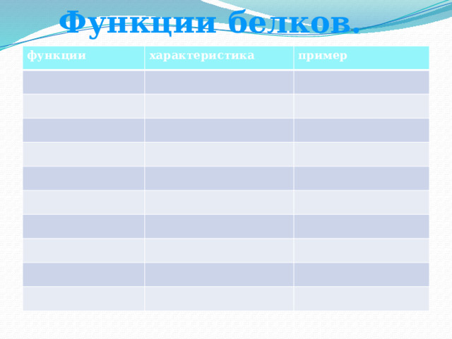 Функции белков. Функции белков. функции характеристика пример 