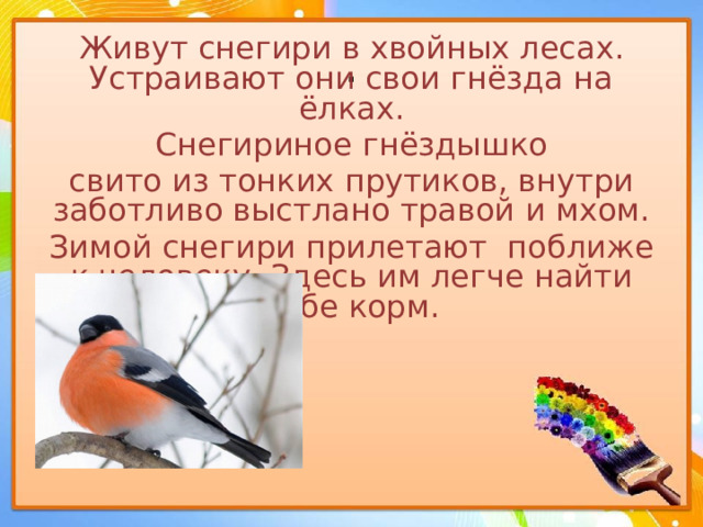 . Живут снегири в хвойных лесах. Устраивают они свои гнёзда на ёлках. Снегириное гнёздышко свито из тонких прутиков, внутри заботливо выстлано травой и мхом. Зимой снегири прилетают поближе к человеку. Здесь им легче найти себе корм. 