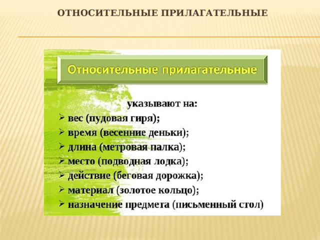  Относительные прилагательные     