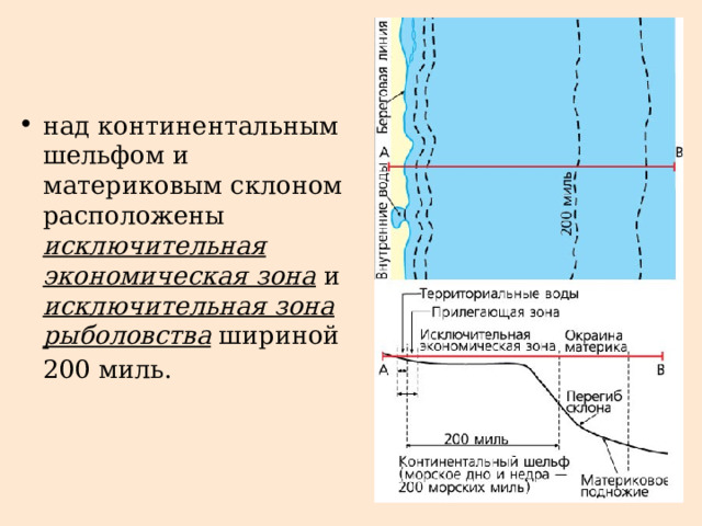 над континентальным шельфом и материковым склоном расположены исключительная экономическая зона и исключительная зона рыболовства шириной 200 миль.   