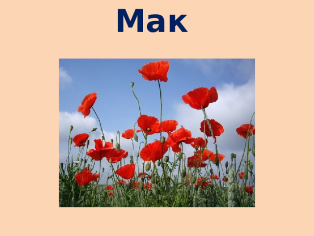  Мак   