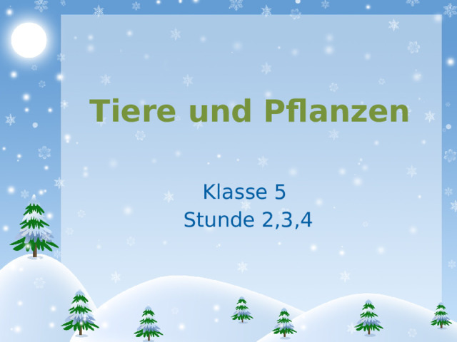 Tiere und Pflanzen Klasse 5 Stunde 2,3,4 