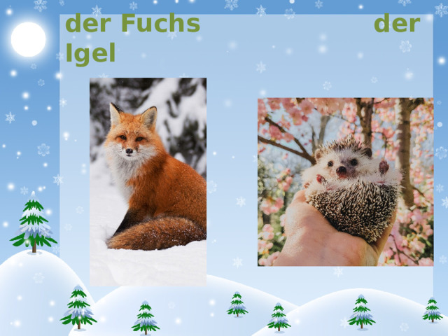 der Fuchs der Igel 