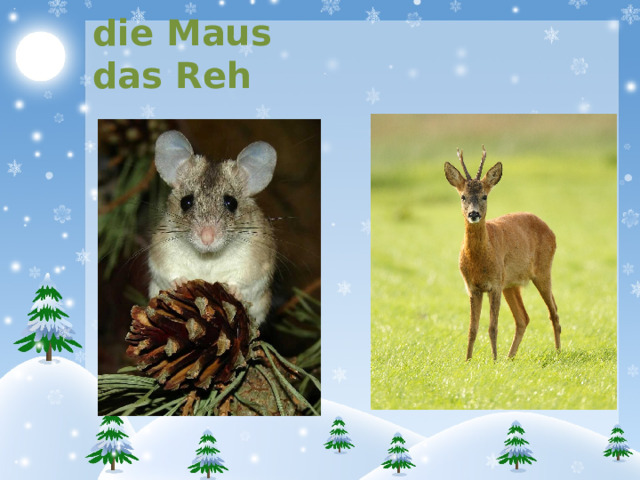 die Maus das Reh 