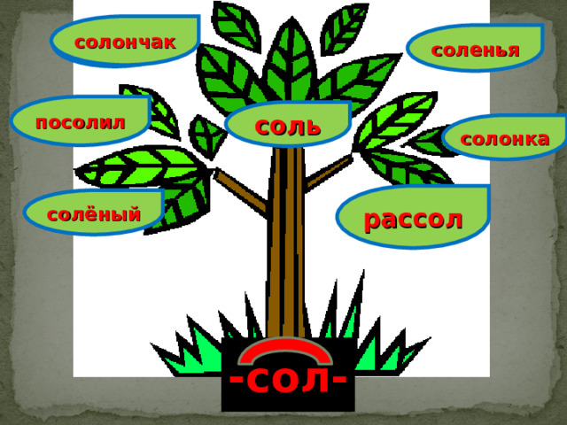 солончак соль соленья посолил соль солонка рассол солёный -сол- 