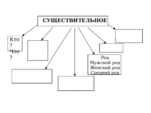 СУЩЕСТВИТЕЛЬНОЕ Кто? Что? Род Мужской род Женский род Средний род 