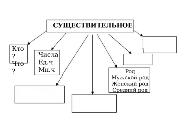 СУЩЕСТВИТЕЛЬНОЕ Кто? Что? Числа Ед.ч Мн.ч Род Мужской род Женский род Средний род 