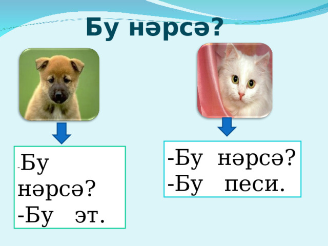 Бу нәрсә? -Бу нәрсә? -Бу песи. - Бу нәрсә? -Бу эт. 