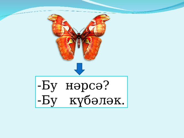 -Бу нәрсә? -Бу күбәләк. 