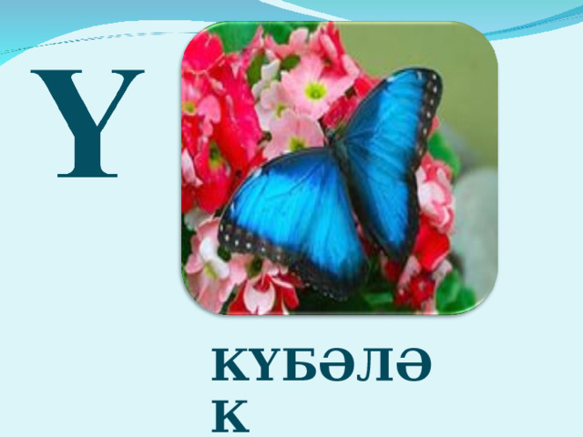 КҮБӘЛӘК 