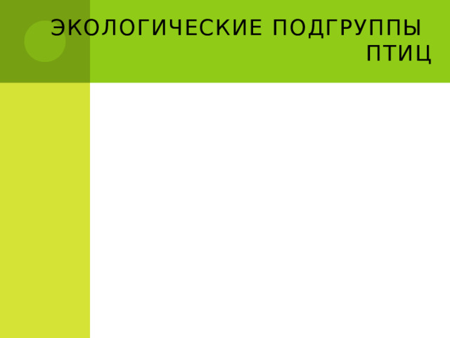 Экологические подгруппы птиц 6 