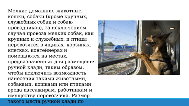 Мелкие домашние животные, кошки, собаки (кроме крупных, служебных собак и собак-проводников), за исключением случая провоза мелких собак, как крупных и служебных, и птицы перевозятся в ящиках, корзинах, клетках, контейнерах и помещаются на местах, предназначенных для размещения ручной клади, таким образом, чтобы исключить возможность нанесения такими животными, собаками, кошками или птицами вреда пассажирам, работникам и имуществу перевозчика. Размер такого места ручной клади по сумме трех измерений не должен превышать 180 см. 