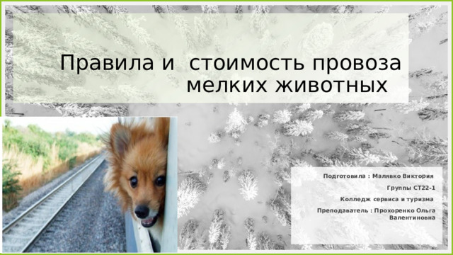 Правила и стоимость провоза мелких животных Подготовила : Малявко Виктория Группы СТ22-1 Колледж сервиса и туризма Преподаватель : Прохоренко Ольга Валентиновна   