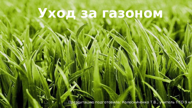 Уход за газоном Презентацию подготовила: Колесниченко Т.В., учитель ПТО 9 класс 