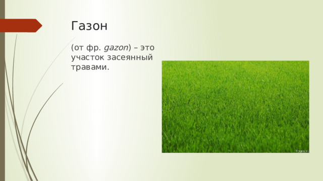 Газон (от фр. gazon )  – это участок засеянный травами. 