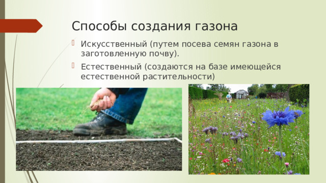 Способы создания газона Искусственный (путем посева семян газона в заготовленную почву). Естественный (создаются на базе имеющейся естественной растительности) 