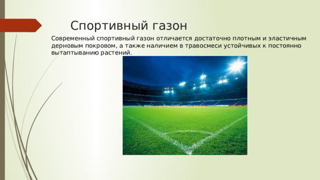 Спортивный газон Современный спортивный газон отличается достаточно плотным и эластичным дерновым покровом, а также наличием в травосмеси устойчивых к постоянно вытаптыванию растений. 