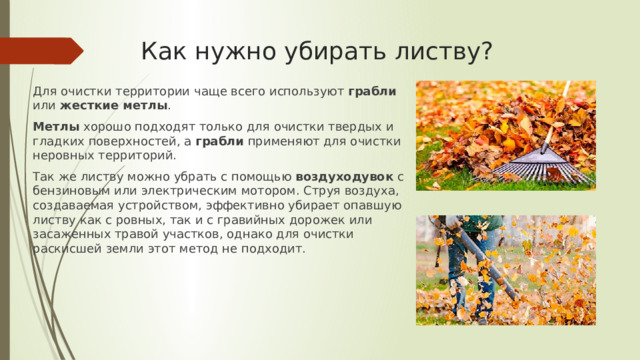 Как нужно убирать листву? Для очистки территории чаще всего используют грабли или жесткие метлы . Метлы хорошо подходят только для очистки твердых и гладких поверхностей, а грабли применяют для очистки неровных территорий. Так же листву можно убрать с помощью воздуходувок с бензиновым или электрическим мотором. Струя воздуха, создаваемая устройством, эффективно убирает опавшую листву как с ровных, так и с гравийных дорожек или засаженных травой участков, однако для очистки раскисшей земли этот метод не подходит. 